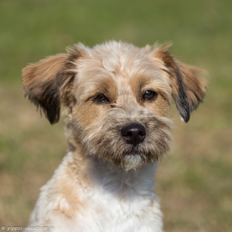 Galerie Was guckst du