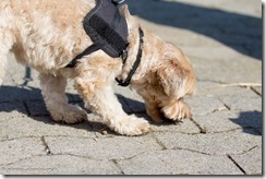 Fine findet was zu Essen