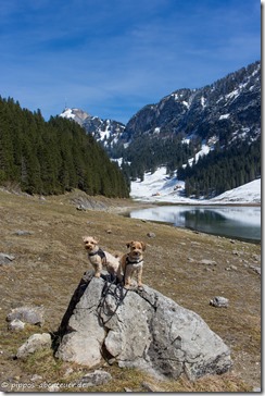 Pippo und Fine am Sämtisersee