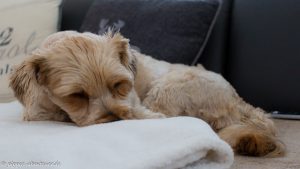 Fine nach dem Wellness