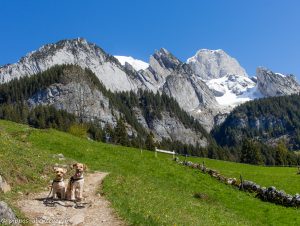 Pippo und Fine vor dem Wildhauser Schafberg