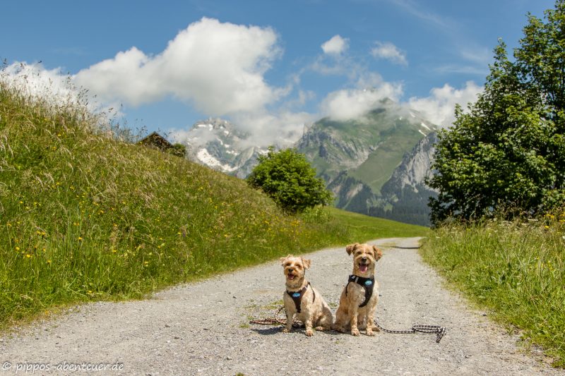 Pippo und Fine gehen den Klangweg