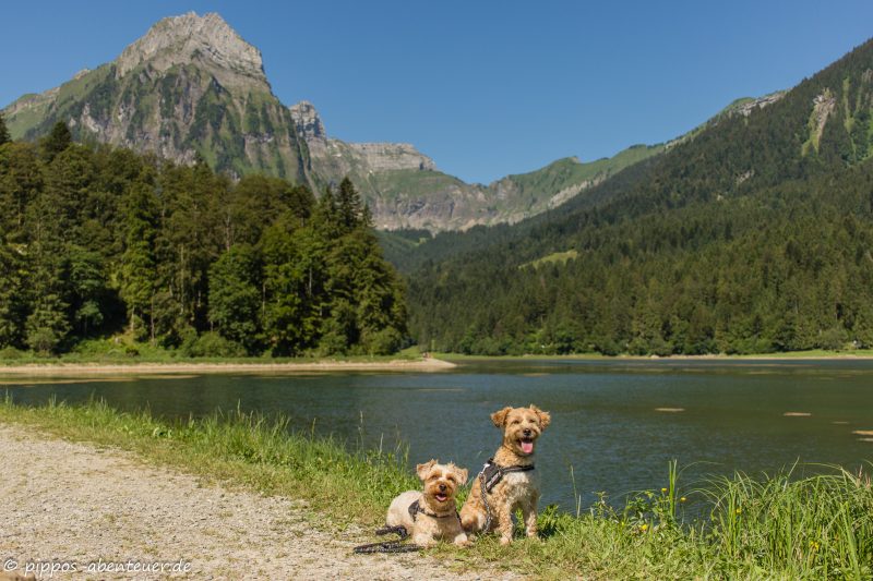 Pippo und Fine vor dem Obersee
