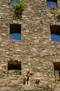 pippo-und-fine-auf-der-burg-hohentwiel