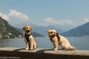 pippo-und-fine-am-coma-see