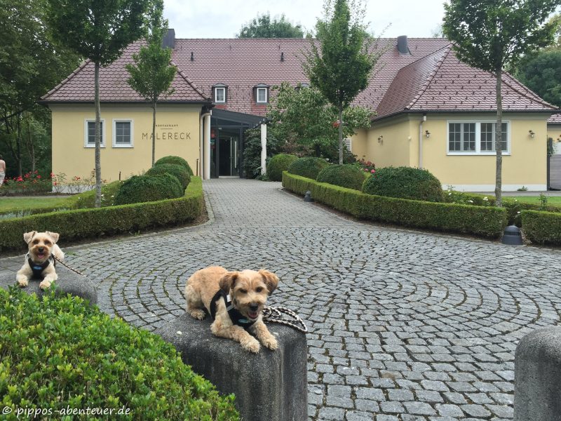 pippo-und-fine-auf-den-saelen