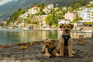 pippo-und-fine-in-ascona