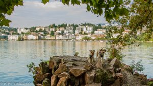 pippo-und-fine-in-lugano