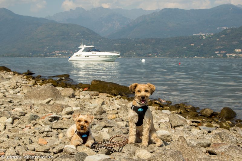 pippo-und-fine-vor-dem-boot