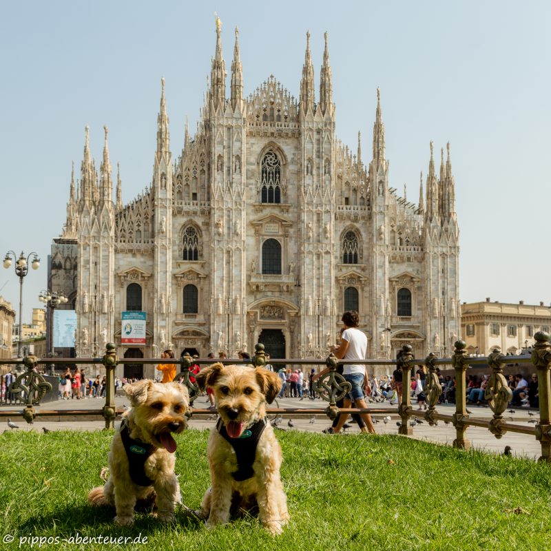 pippo-und-fine-vor-dem-dom-in-mailand